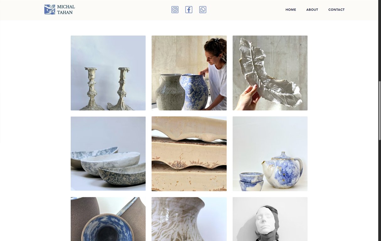 Michal Tahan WIX portfolio homepage screen